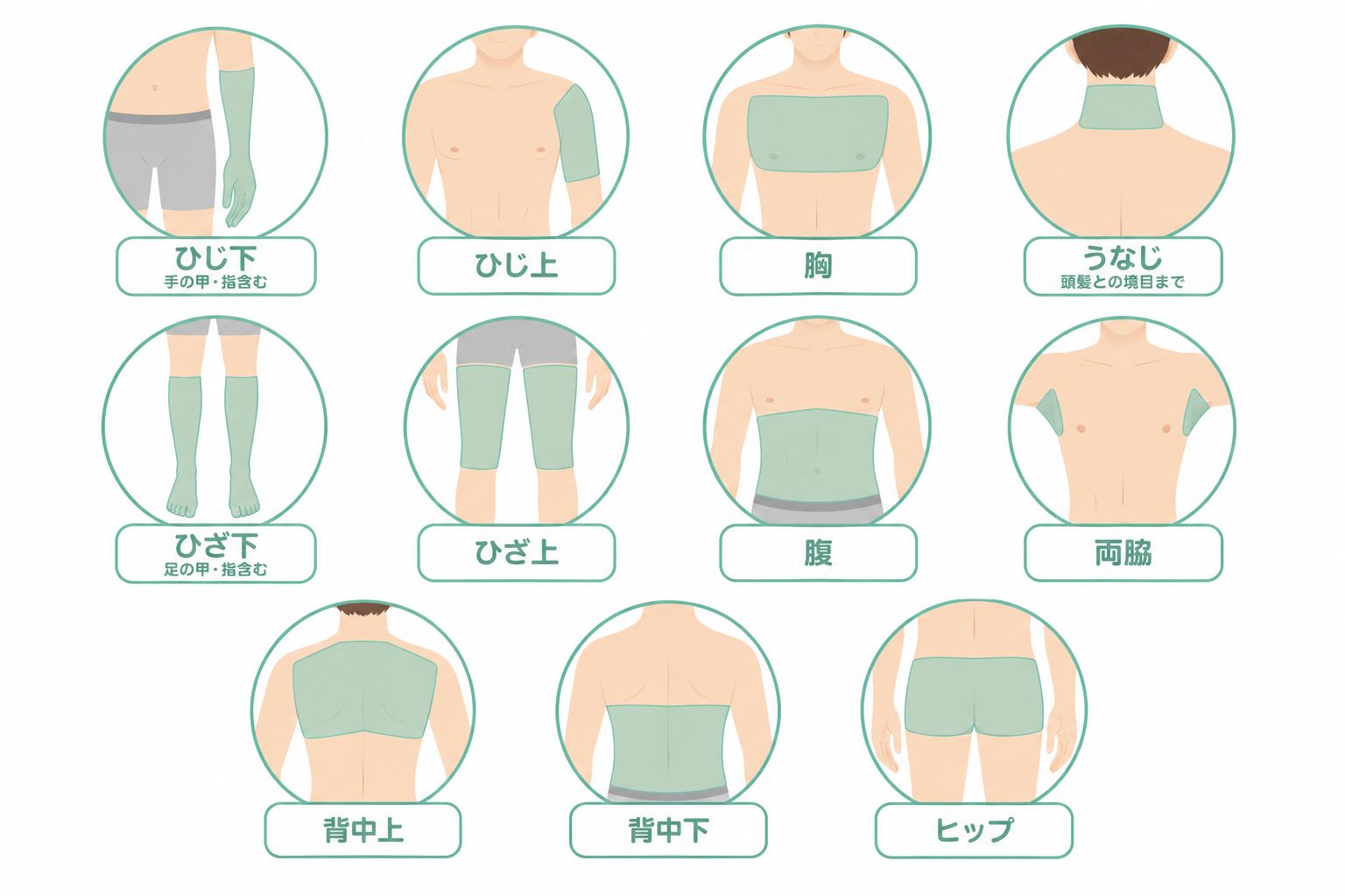 セレクト部位